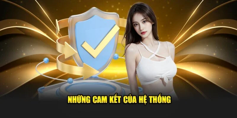 cam kết bảo mật của hệ thống